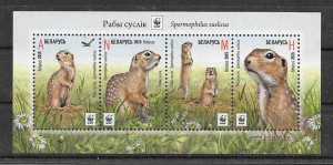 Sellos fauna protegida Bielorrusia 2015