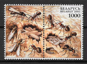 sellos fauna Bielorrusia 2002