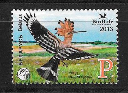 sellos fauna Bielorrusia 2013