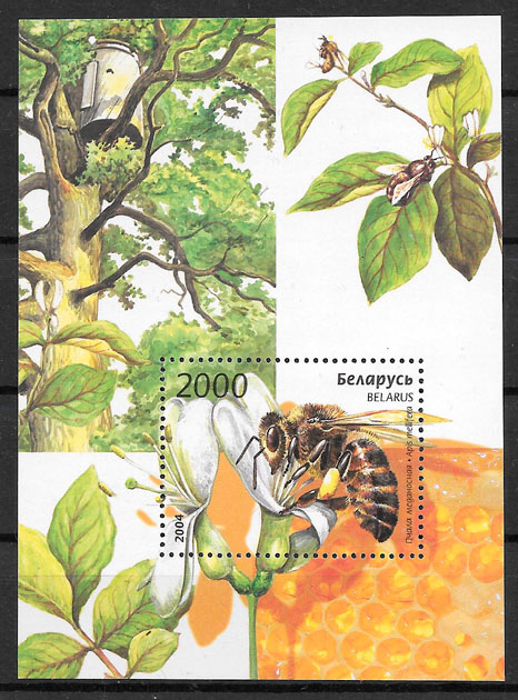 sellos fauna Bielorrusia 2004