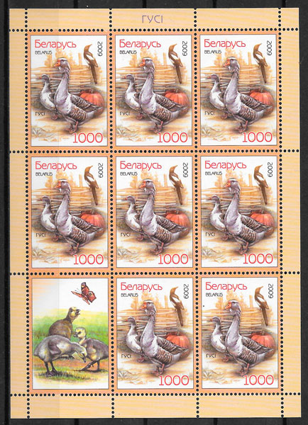 lección sellos fauna Bielorrusia 2008