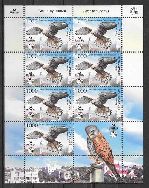 Colección sellos fauna - aves halcón Bielorrusia 2010