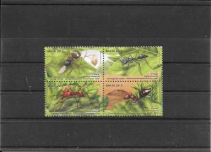 serie de fauna - insectos - hormigas