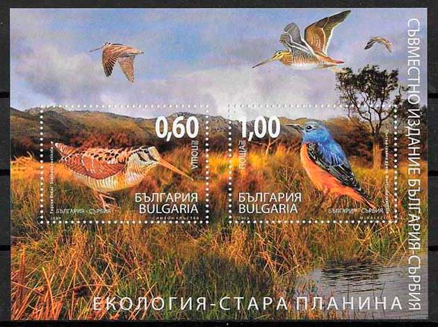 sellos fauna Bulgaria 2009