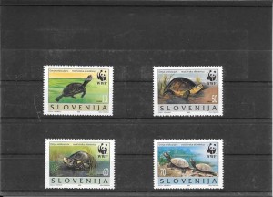 serie fauna- tortugas