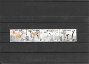 fauna perros del país