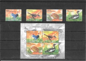 fauna del 2006 en peligro de extinción.