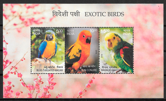 sellos fauna India 2016