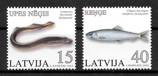 sellos fauna Letonia 2005