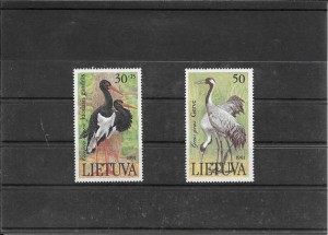 tema de fauna- aves