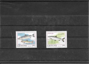 serie de fauna peces