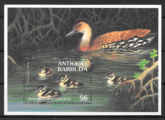 filatelia fauna Antigua 1994