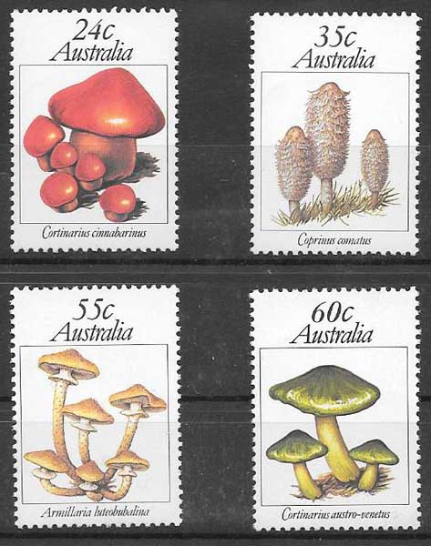 Australia-1981-01