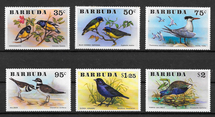 filaetila fauna Barbuda 1976