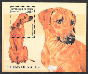 filatelia colección gatos y perros Benin 1997