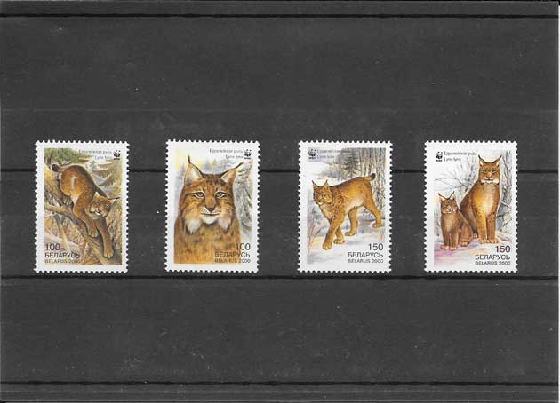 Colección sellos seriie de fauna lince