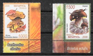sellos setas Bielorrusia 2008