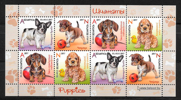 sellos gatos y perros bielorrusia 2017