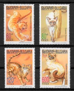 filatelia colección gatos y perros de Bulgaria 1998