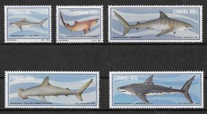 colección sellos fauna Ciskei 1983
