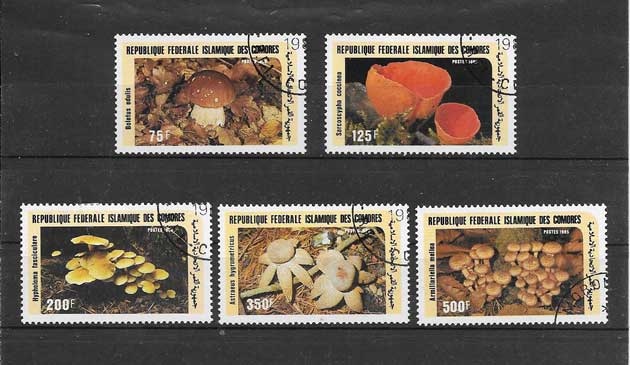 Filatelia sellos tema de flora - hongos