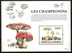 filatelia setas Comores 2009
