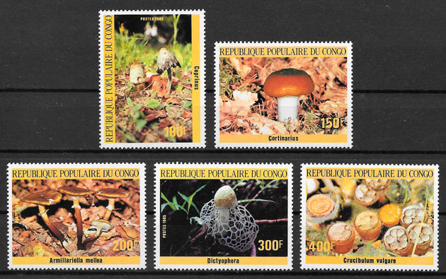 colección sellos setas Congo 1985