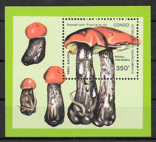 sellos setas Congo 1991