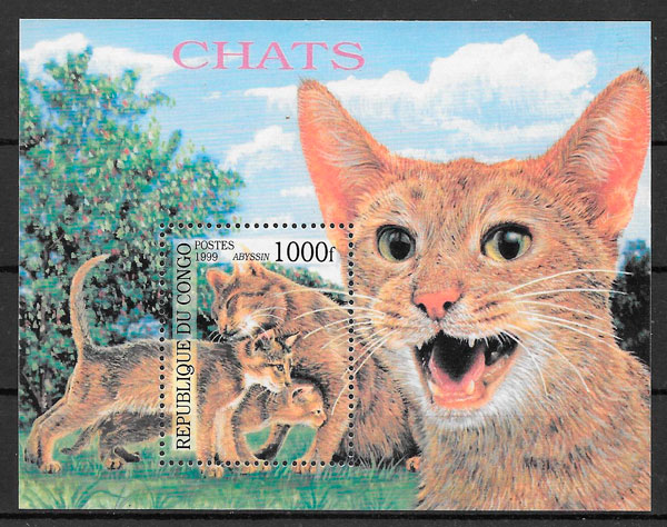 colección sellos gatos Congo 1999