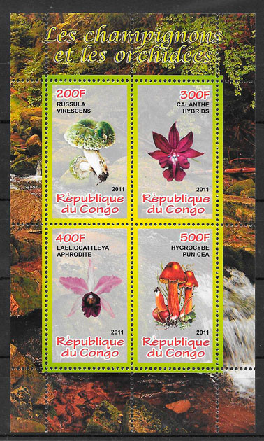 filatelia colección setas Congo 2007
