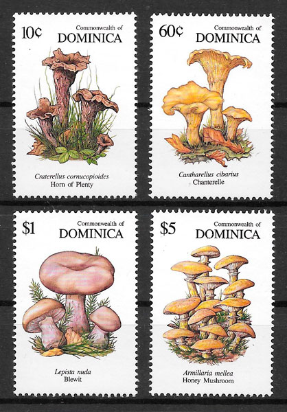 sellos setas Dominica 1991