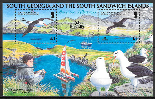 sellos fauna Georgia del Sur Falkland Island 2006