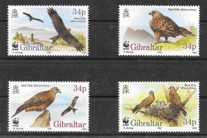 fauna protegida Gibraltar 1996