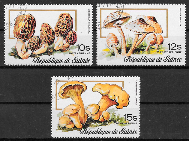 selos seas Guinea 1977