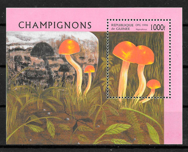 colección sellos setas Guinea 1996