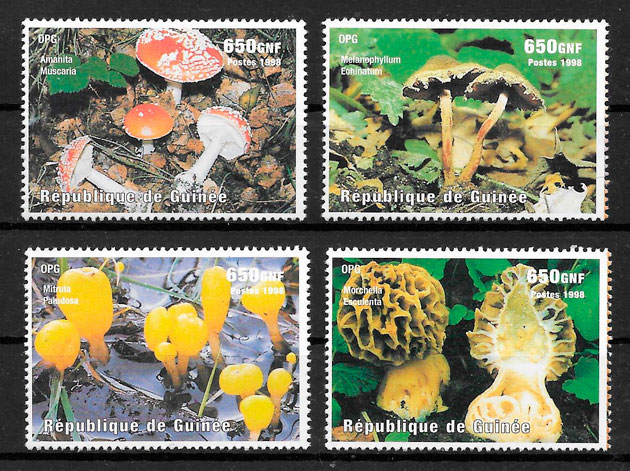 colección sellos setas Guinea 1998