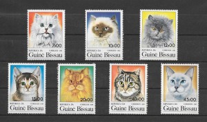 razas de gatos de Guinea