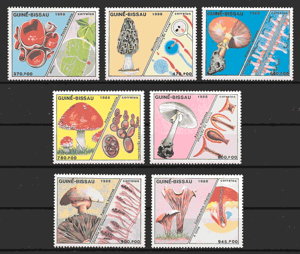 sellos setas Guinea Bissau 1988