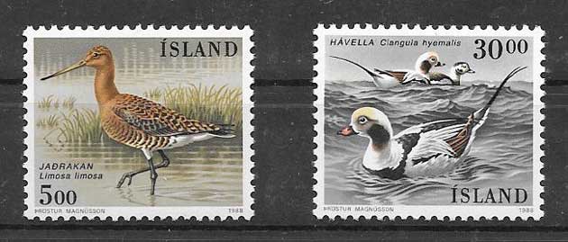 Sellos filatelia Islandia Fauna - aves 1988