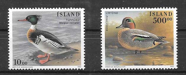 Sellos fauna aves Islandia 1997