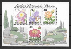 hojita flores de Moldavia