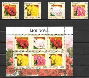 flores de Moldavia 2012