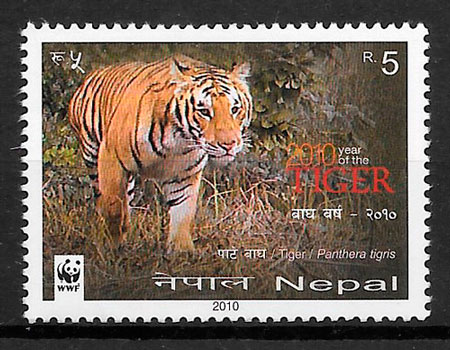 Año 2010, serie de 1 sello nº 966 del Catálogo Yvert, valor 0.50€. Año lunar del tigre.