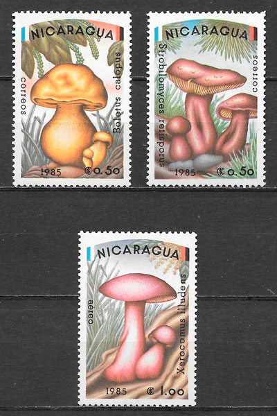 sellos setas Nicaragua 1985