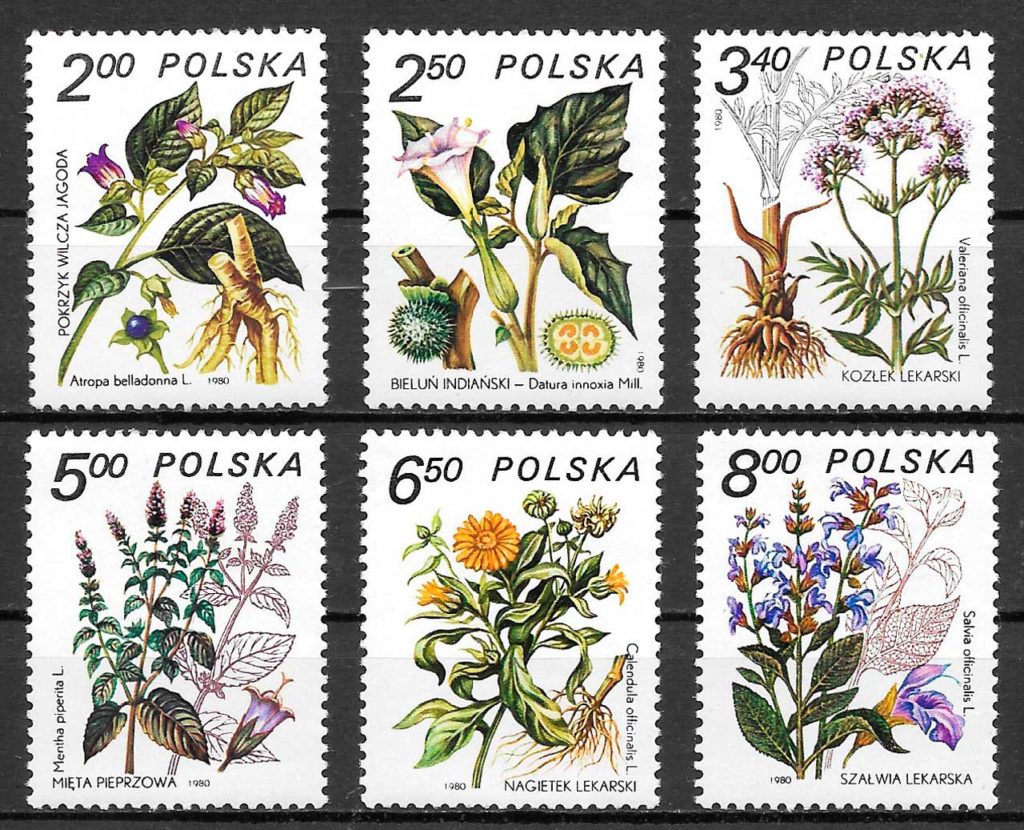 filatelia flora Polonia 1980