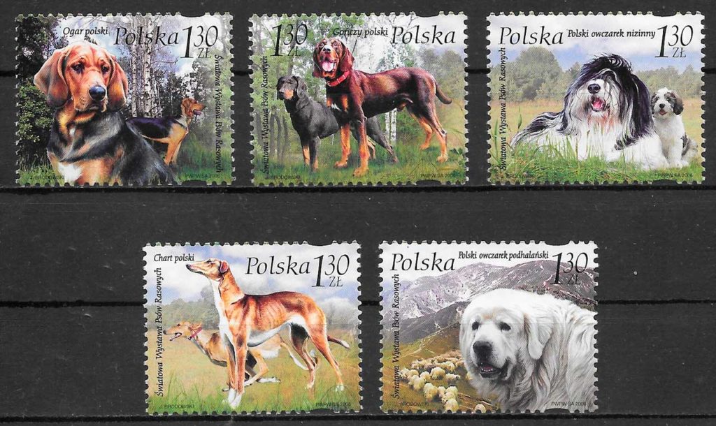 selos perros Polonia 2006