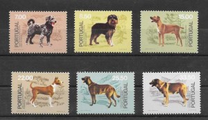 diferentes perros de Portugal