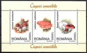 filatelia setas Rumania 2003