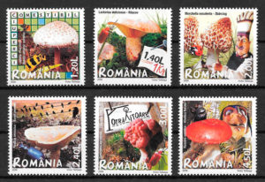 coleccion sellos setas Rumania 2008