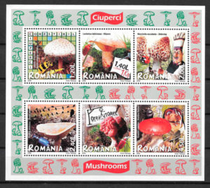 coleccion sellos setas Rumania 2008